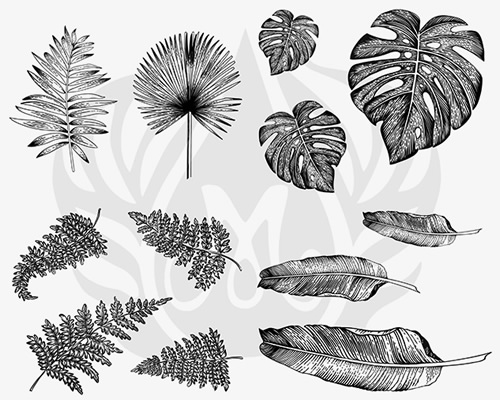 Mayco Designer Silkscreens - Designer Silkscreen - Tropical Leaves
