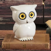 Wide-Eyed White Owl Bank