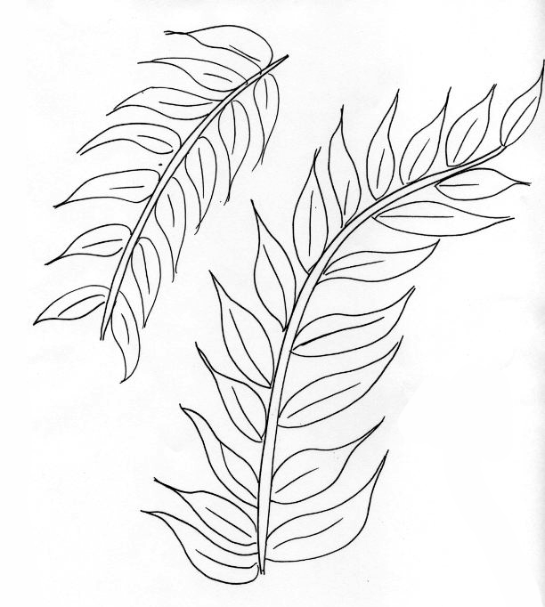 lady fern coloring pages - photo #10