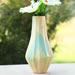 Nature's Best Organic Vase Nature's Best Organic Vase