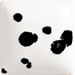 Dalmation