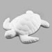 Sea Turtle