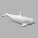 Orca (Killer Whale)