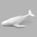 Humpback Whale