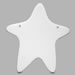 Star Plaque