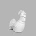 Rooster