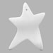 Star Ornament