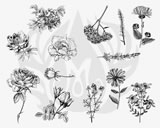 Designer Silkscreen - Flowers