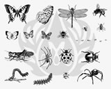 Designer Silkscreen - Bugs