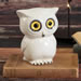 Wide-Eyed White Owl Bank
