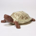 Faceted Turtle
